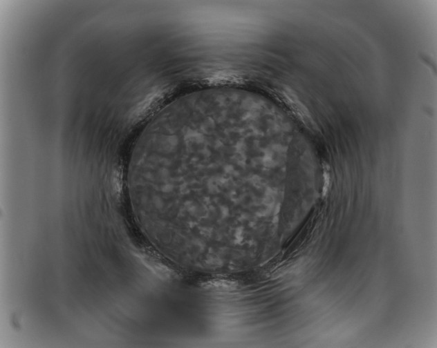 X0000096400691200801311351