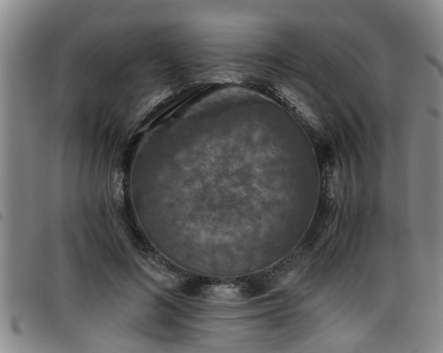 X0000096400692200801311351