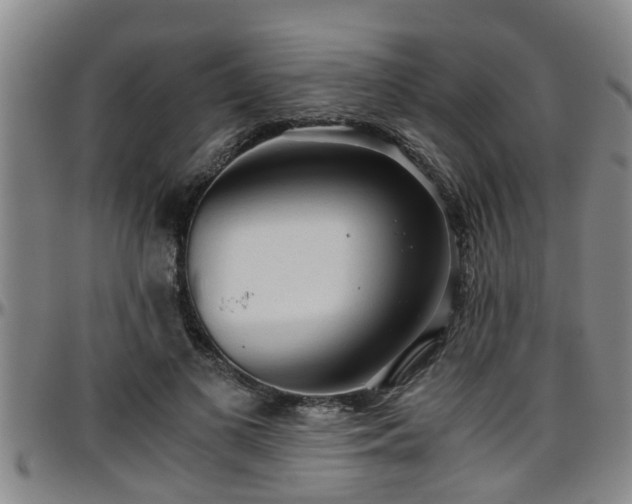 X0000096400693200801311351