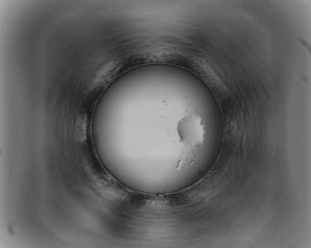 X0000096400694200801311351