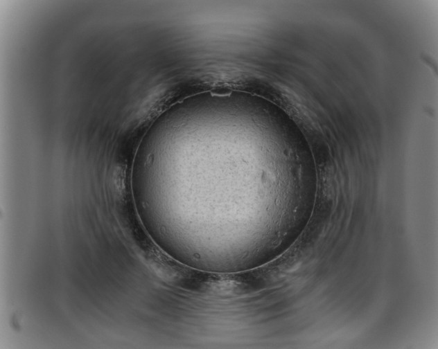 X0000096400695200801311351