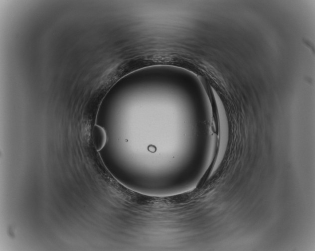 X0000096400697200801311351