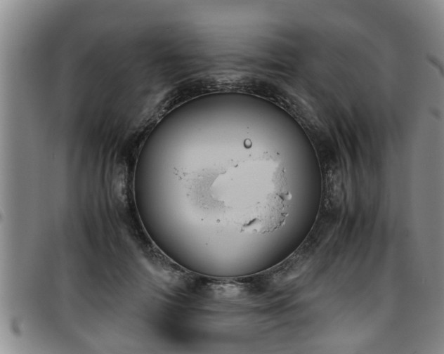 X0000096400698200801311351