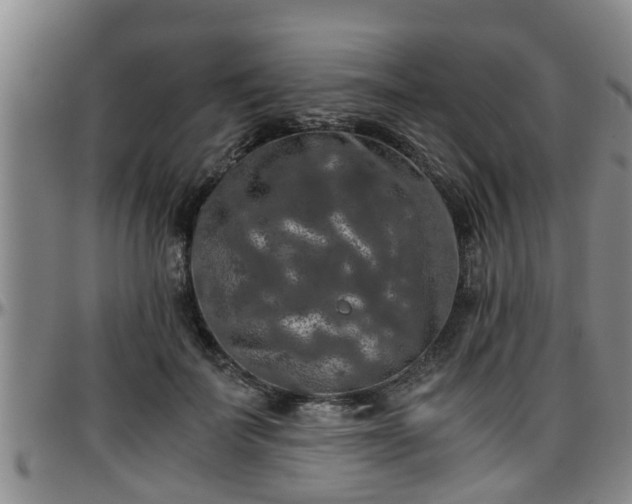 X0000096400699200801311351