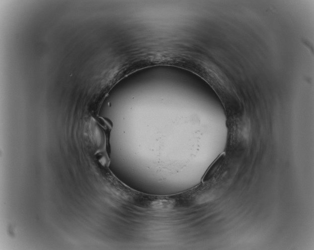 X0000096400700200801311351