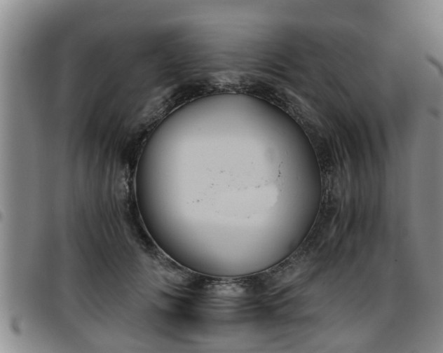 X0000096400702200801311351