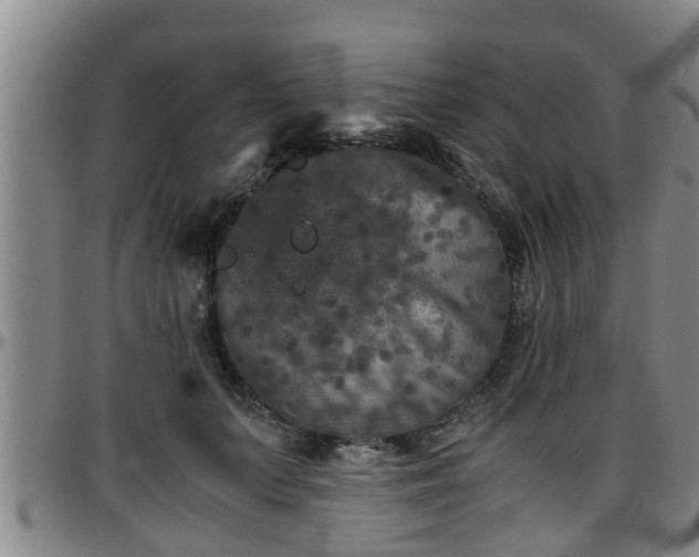 X0000096400703200801311351