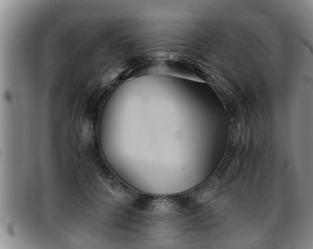 X0000096400704200801311351