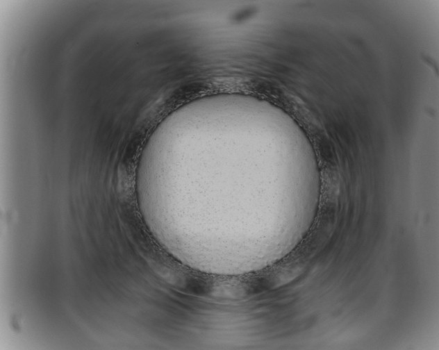 X0000096400705200801311351