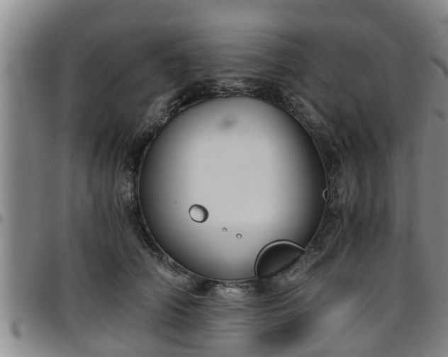 X0000096400706200801311351