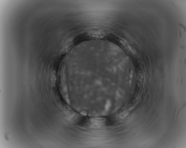 X0000096400707200801311351