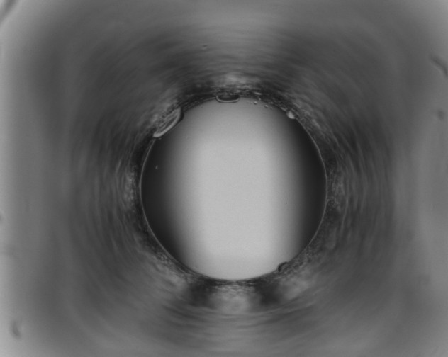 X0000096400708200801311351