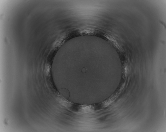 X0000096400709200801311351