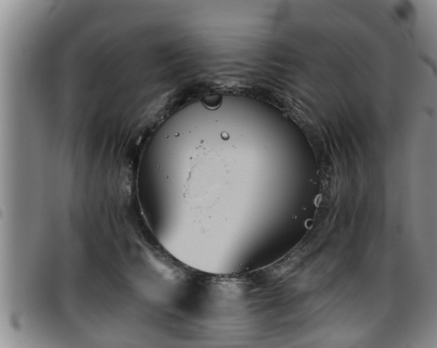 X0000096400710200801311351