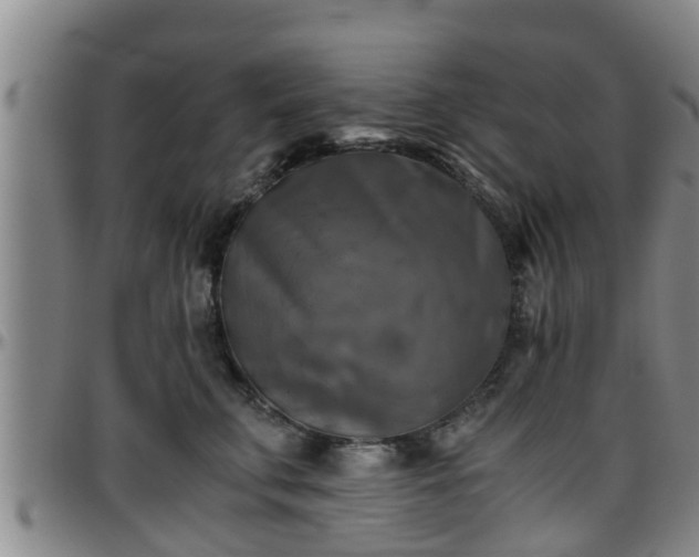 X0000096400711200801311351