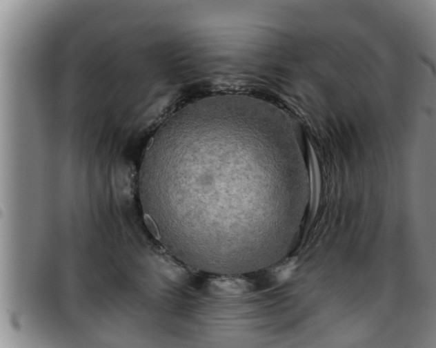 X0000096400712200801311351