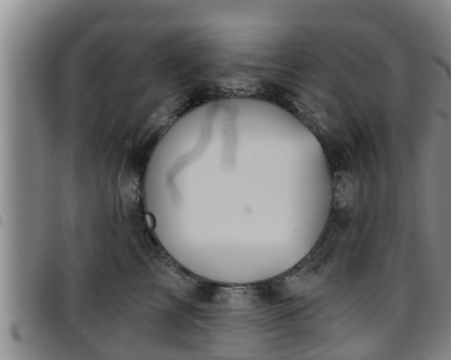 X0000096400713200801311351