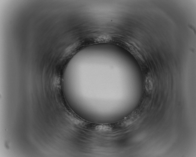 X0000096400714200801311351