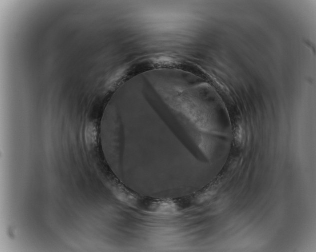 X0000096400715200801311351