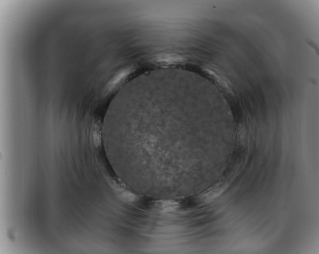 X0000096400719200801311350