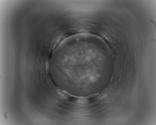 X0000096400720200801311350