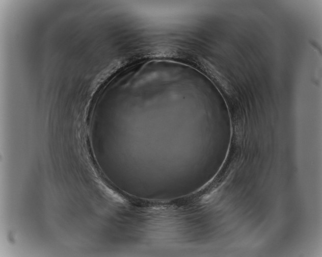 X0000096400721200801311350