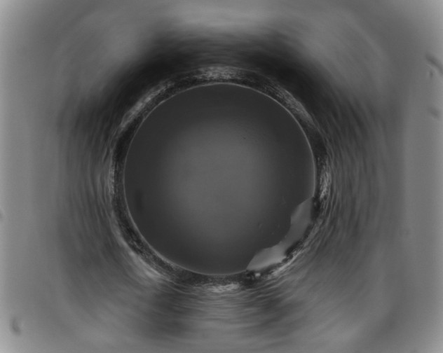 X0000096400722200801311350