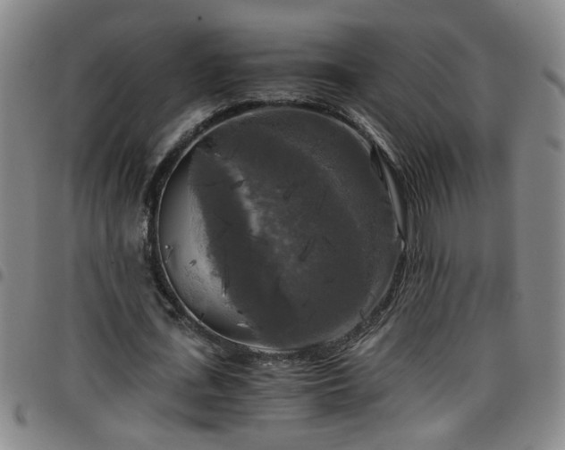 X0000096400723200801311350