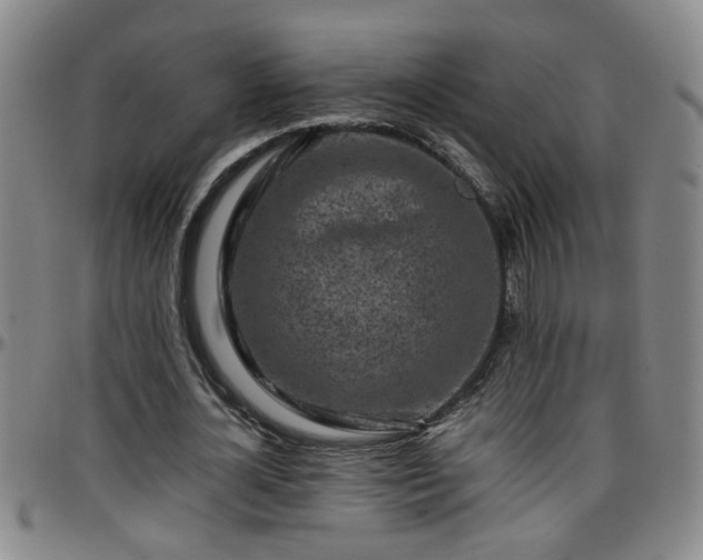 X0000096400724200801311350