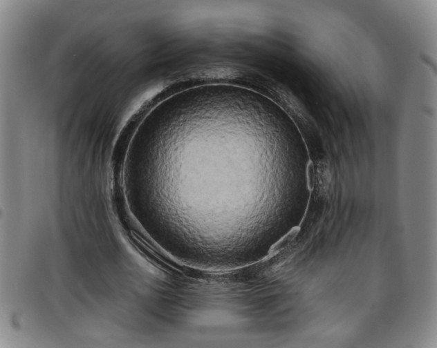 X0000096400726200801311350