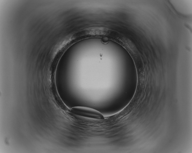 X0000096400727200801311350