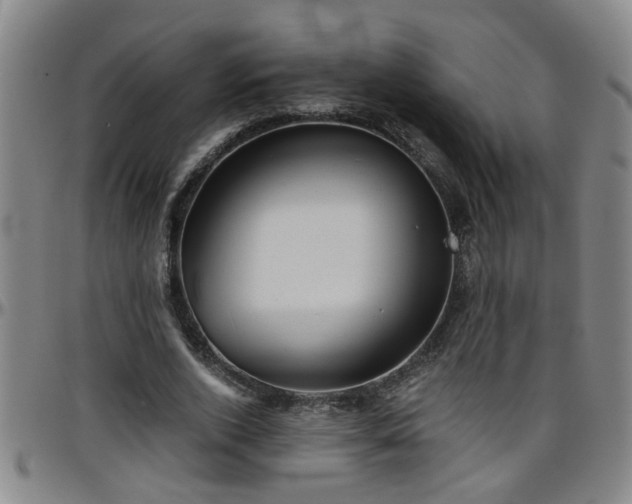 X0000096400728200801311350