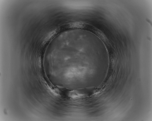 X0000096400729200801311350