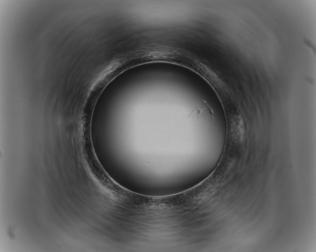 X0000096400730200801311350