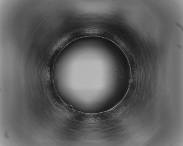 X0000096400731200801311350