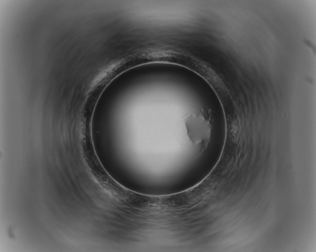 X0000096400732200801311350