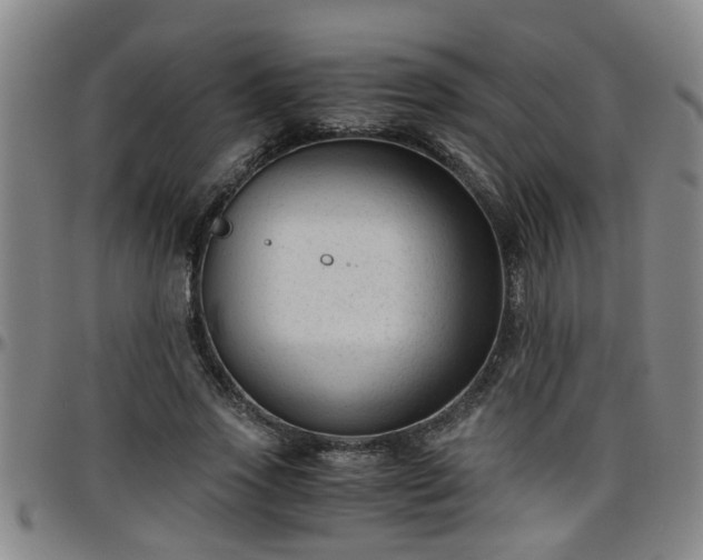 X0000096400733200801311350