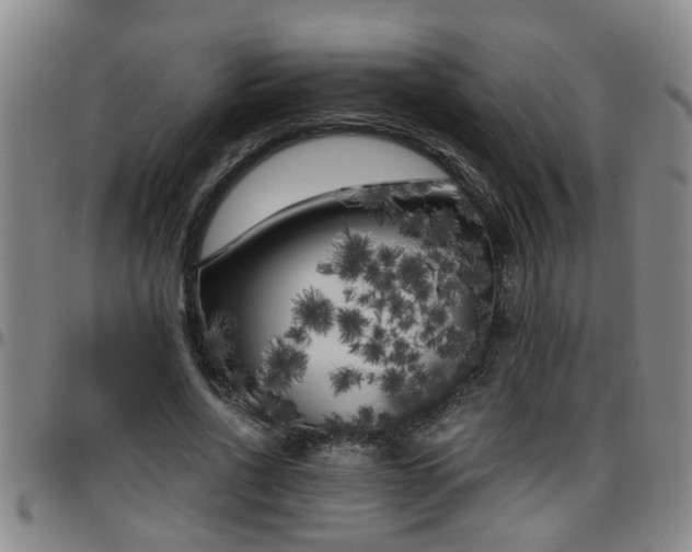 X0000096400734200801311350