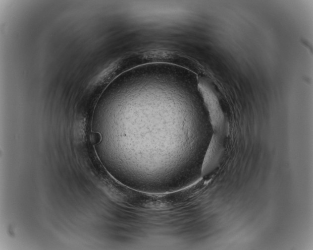 X0000096400735200801311350