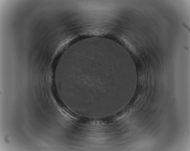 X0000096400736200801311350