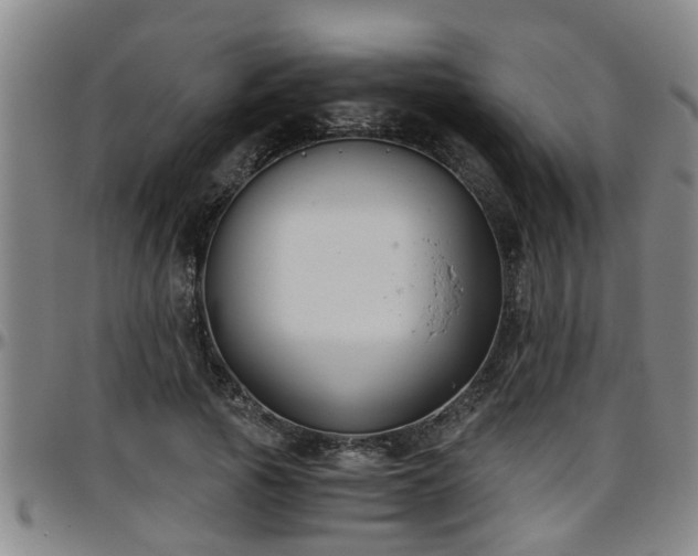 X0000096400737200801311350