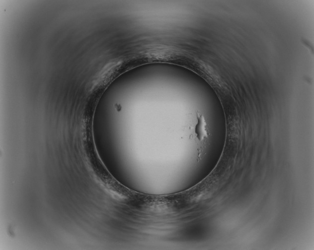 X0000096400738200801311350