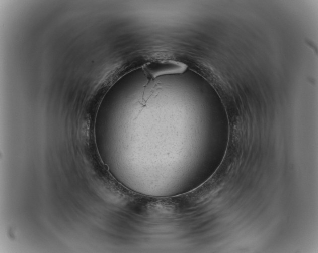 X0000096400739200801311350