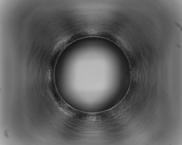 X0000096400740200801311350