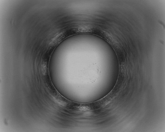 X0000096400741200801311350