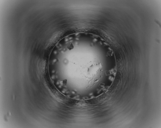 X0000096400742200801311350