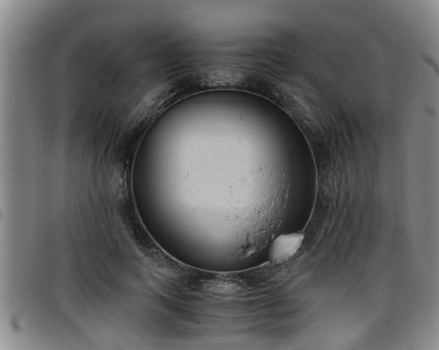 X0000096400743200801311350