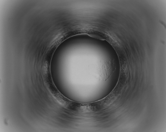 X0000096400744200801311350