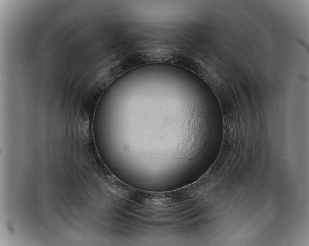 X0000096400745200801311350