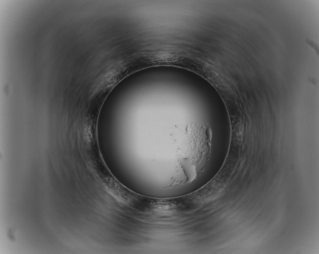 X0000096400746200801311350